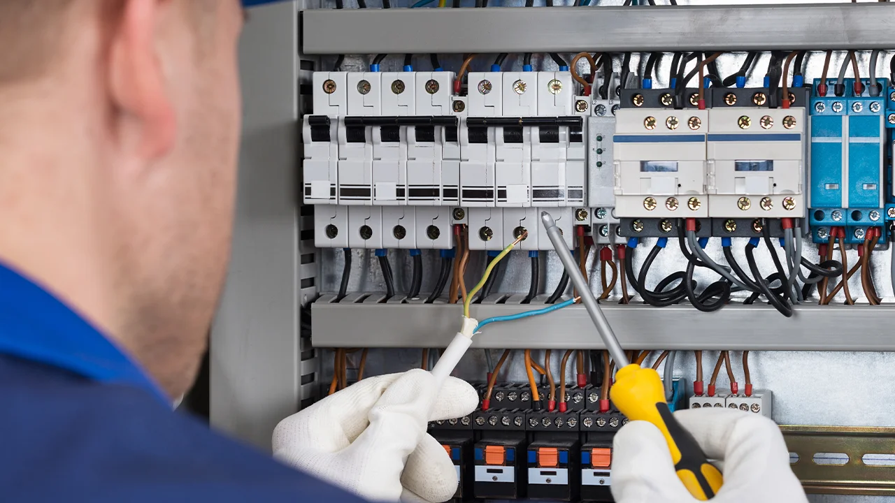 electrica-13.webp